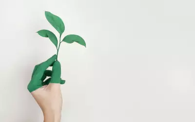 4 conseils pour réconcilier technologie et écologie